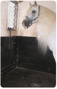 Use the Stable Mat to improve your horses environment